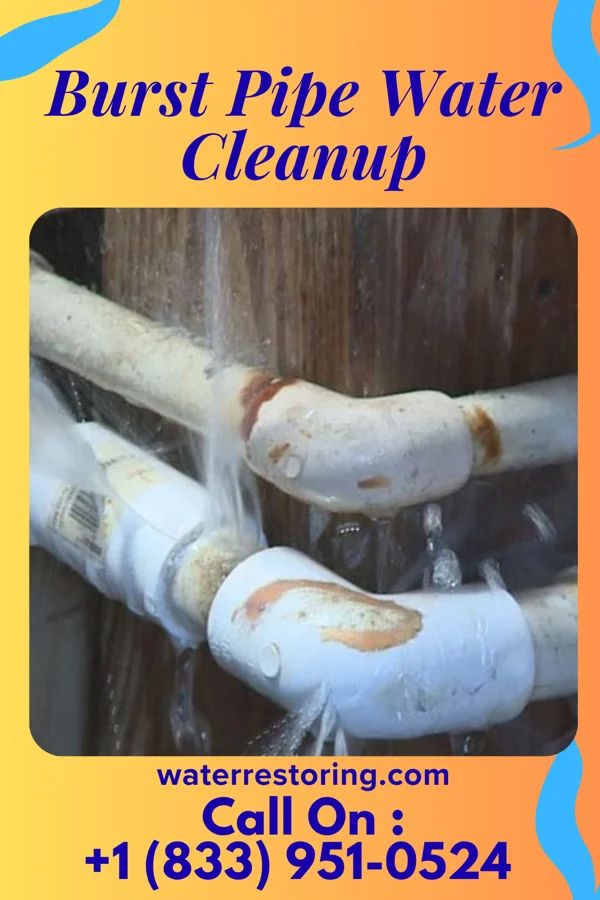 Burst Pipe Water Cleanup in St. Marie, MT
